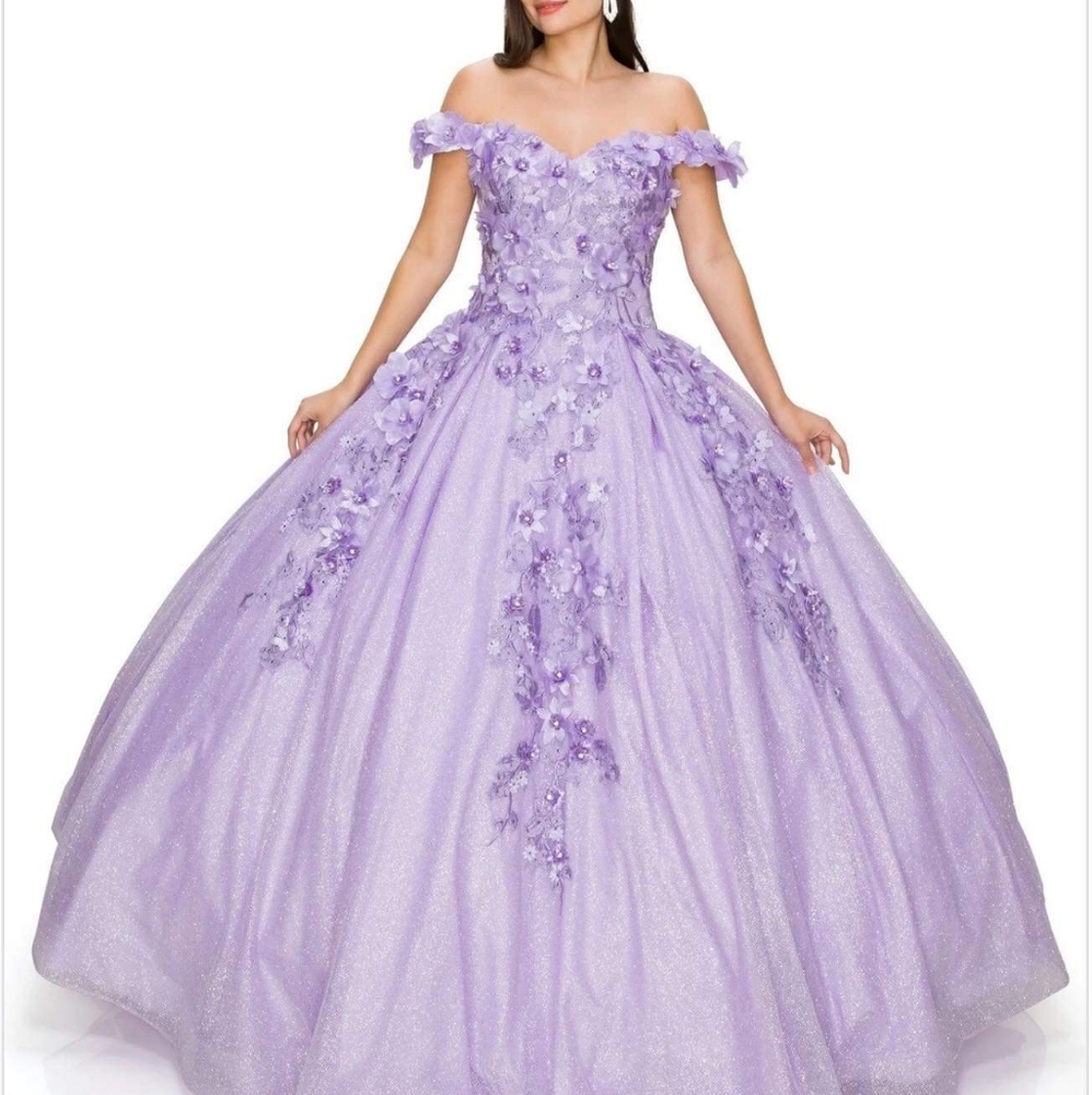 Quinceañera dress